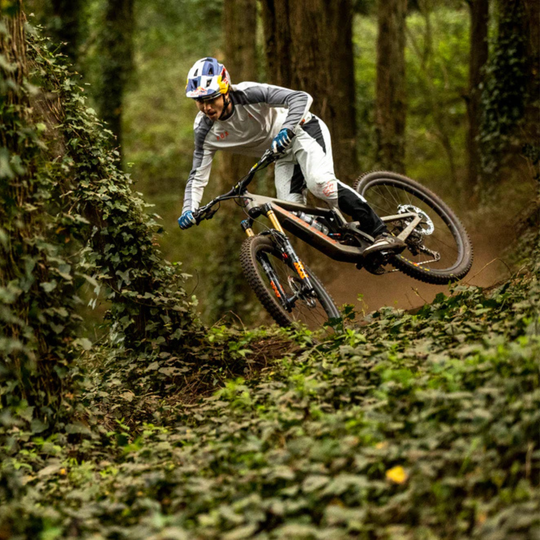 GRIPS SANTA CRUZ HOUSE