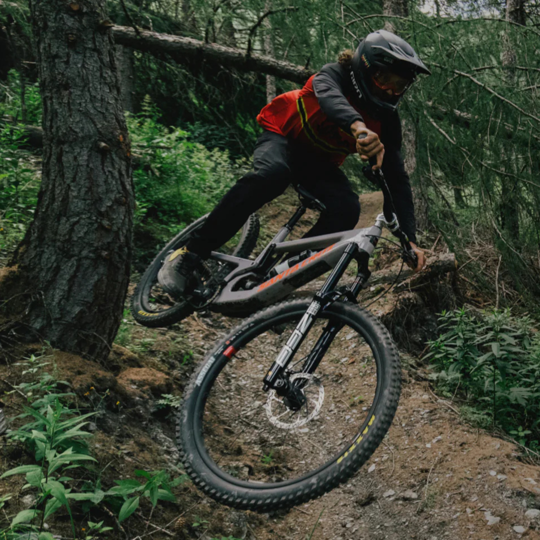 GRIPS SANTA CRUZ HOUSE